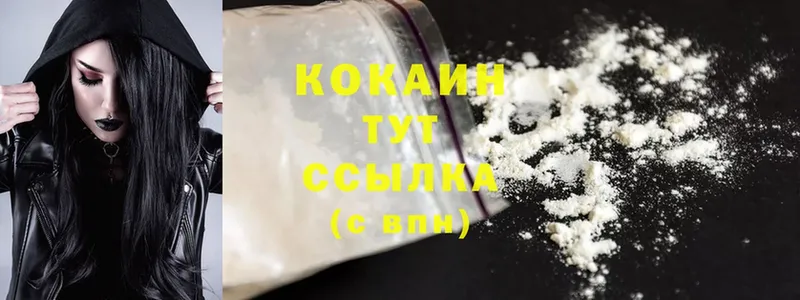 Cocaine FishScale  купить   мориарти телеграм  Новомичуринск 